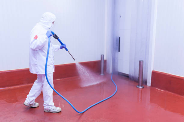 Best Patio and Deck Pressure Washing  in Grosse Pointe Farms, MI